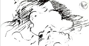 13.º MÓDULO DE FORMAÇÃO: SEXUALIDADE — ACTUALIZAÇÃO PROFISSIONAL EM BIODANZA