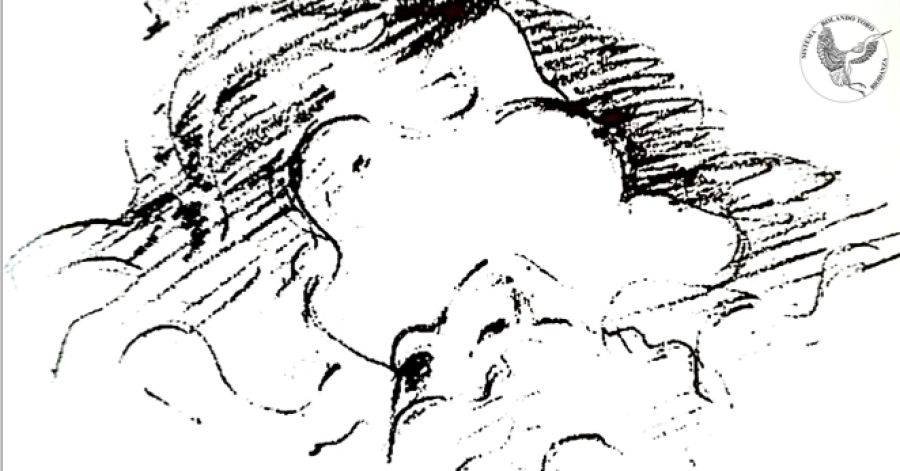 13.º MÓDULO DE FORMAÇÃO: SEXUALIDADE — ACTUALIZAÇÃO PROFISSIONAL EM BIODANZA