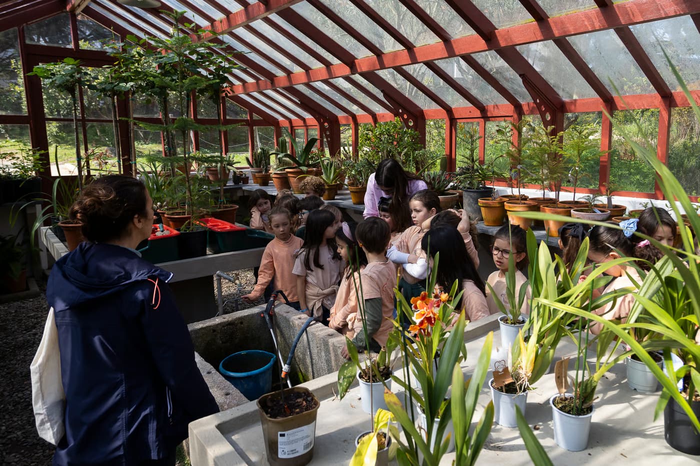 Casa: Estufa — Oficina de Famílias