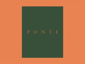 Apresentação do livro PONTE, de Pedro Cabrita Reis, em Serralves