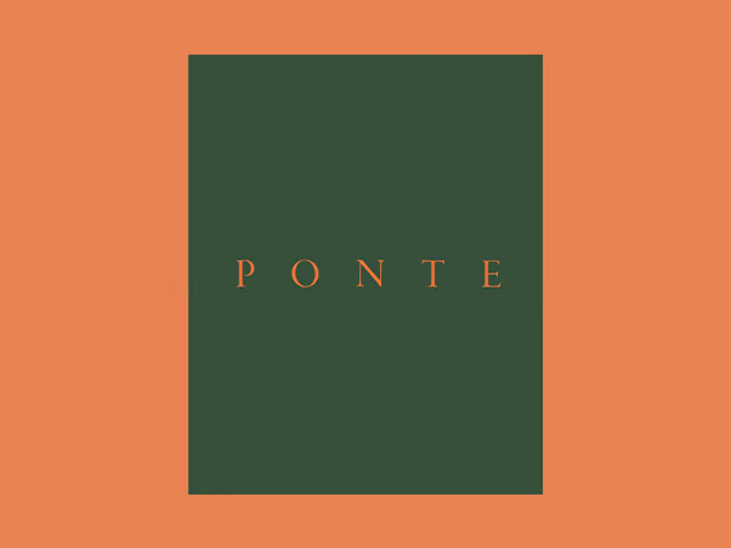 Apresentação do livro PONTE, de Pedro Cabrita Reis, em Serralves