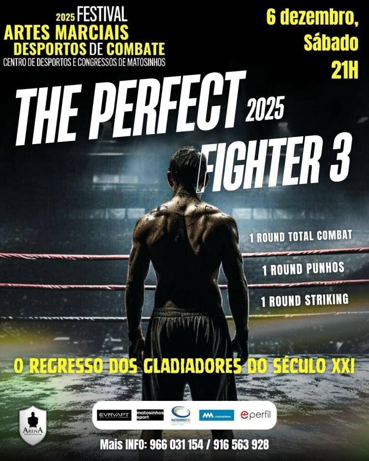 The Perfect Fighter 3 — Festival de Artes Marciais e Desportos de Combate