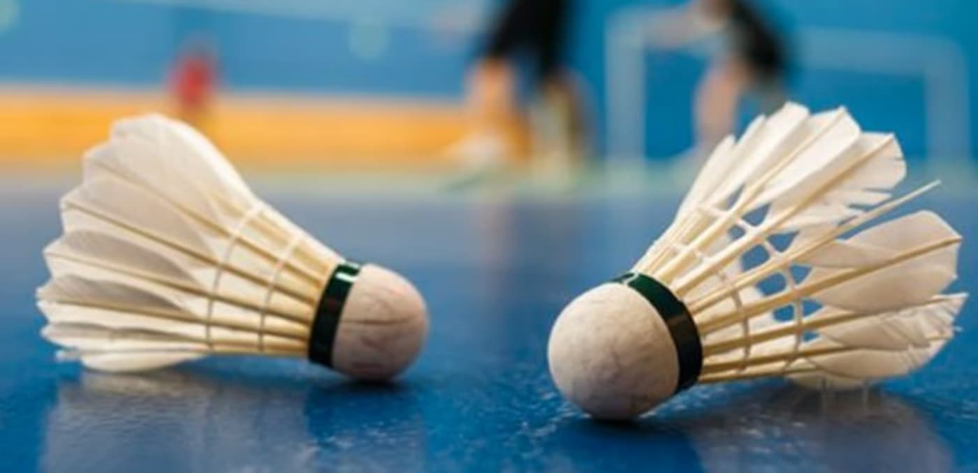 5.º Torneio de Badminton Invicta Cidade promete emoção e talento no Porto