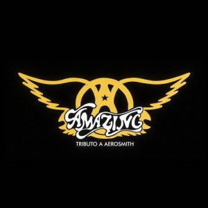 AMAZING traz Aerosmith ao Mary Spot Vintage Bar