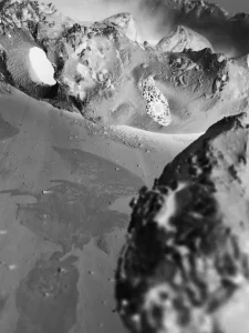 Anéis Parideiros – Estúdio Bichos