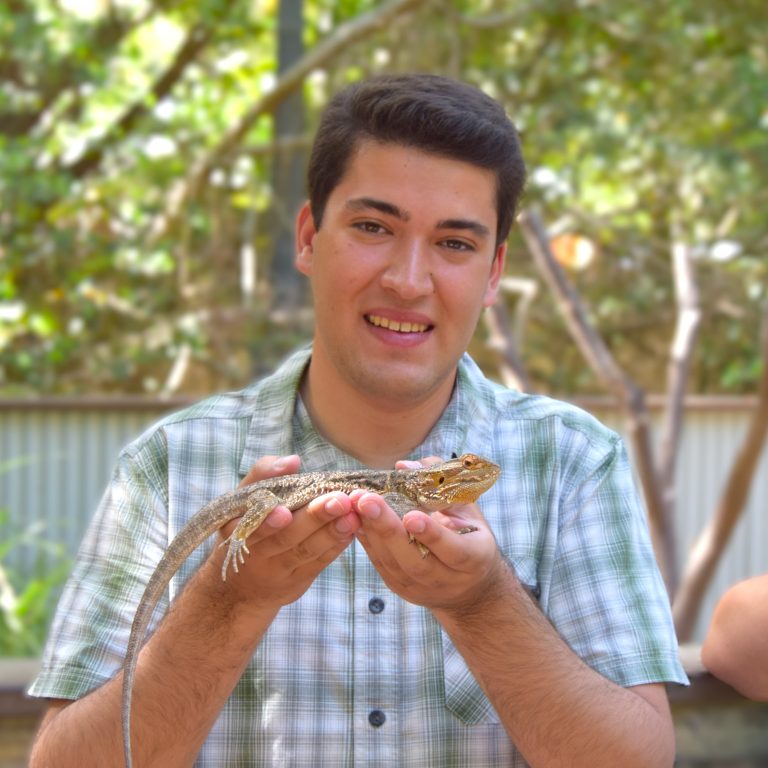 Pedro Suárez com um dragão-barbudo, Austrália, 2017