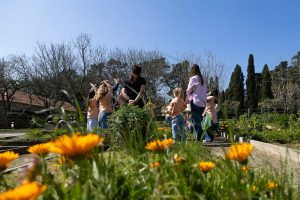 Jardim das Tintureiras 🌿 — Descobre as cores da Natureza