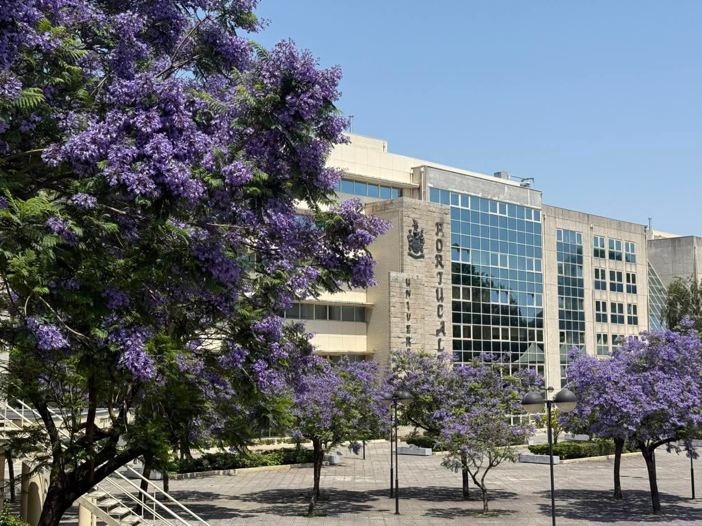 PORTUCALENSE PROMOVE REFLEXÃO NACIONAL SOBRE CRIATIVIDADE E INOVAÇÃO NO CONTEXTO DA NOVA ECONOMIA DIGITAL