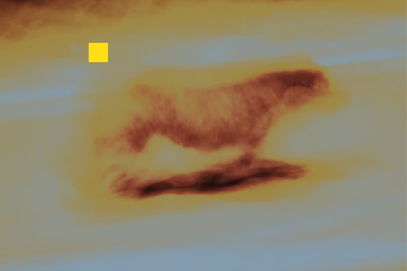 Meio-ermo, de Alexandre Delmar