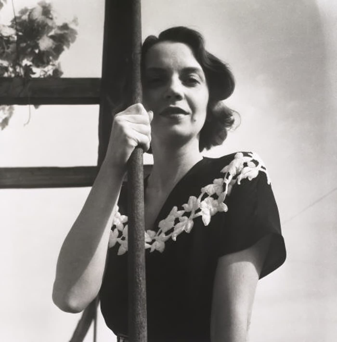 História da Gata Borralheira, em Contos da Terra e do Mar