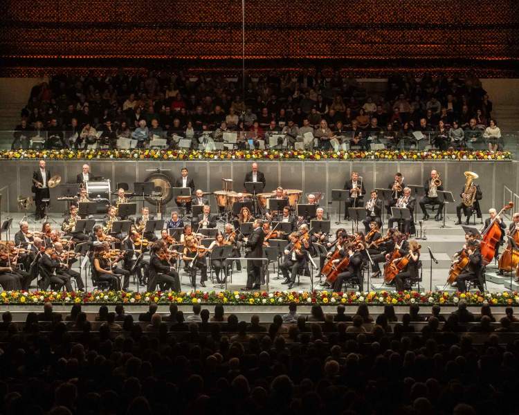 Concerto de Ano Novo – Orquestra Sinfónica do Porto Casa da Música