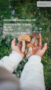 Passeios Micológicos no Parque de Avioso – S. Pedro