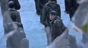 Na Terra dos Nossos Irmãos – Raha Amirfazli & Alireza Ghasemi