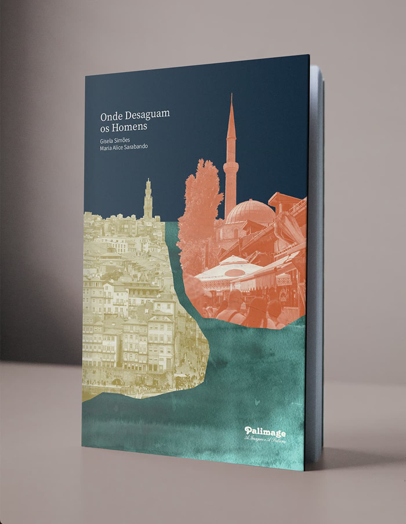 Lançamento do livro