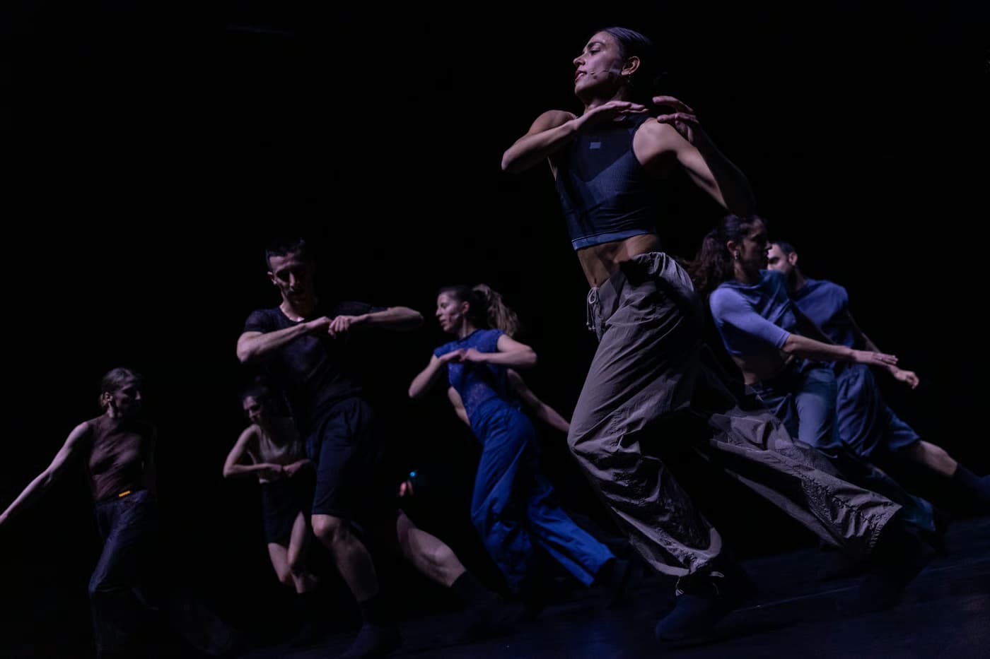 My Fierce Ignorant Step — Christos Papadopoulos