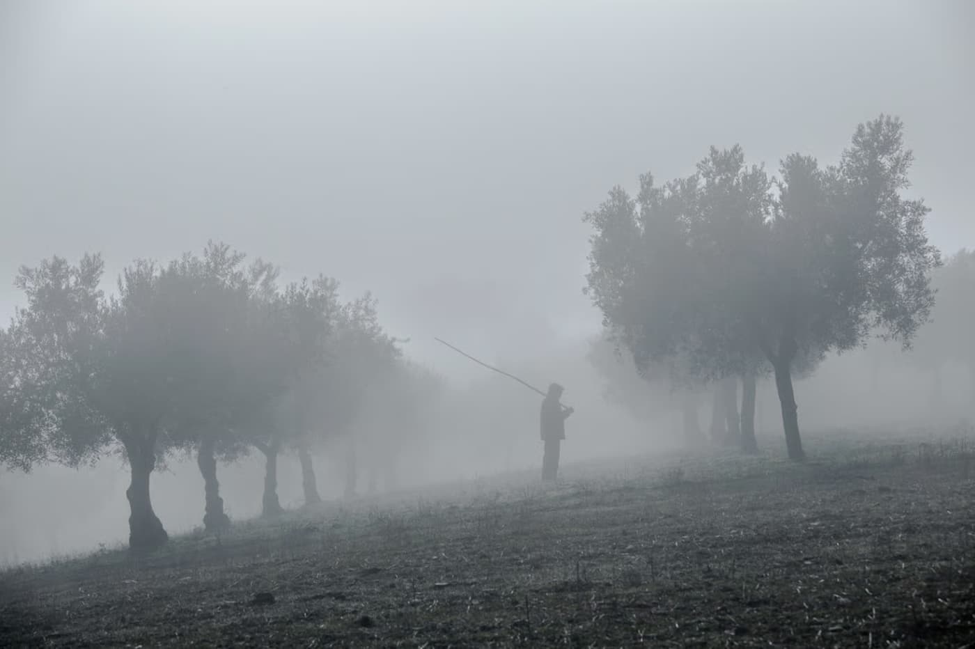 Oficina de Etnoficção com Maria Manuela Restivo
