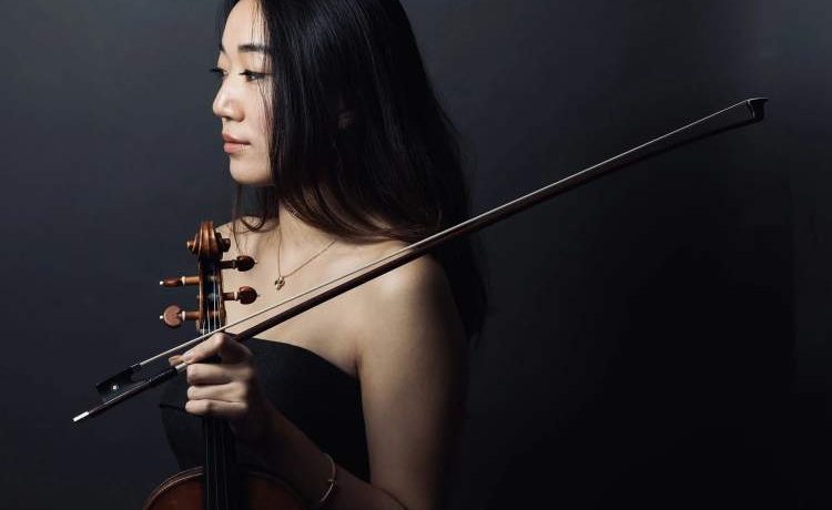 Um Violino para Brahms