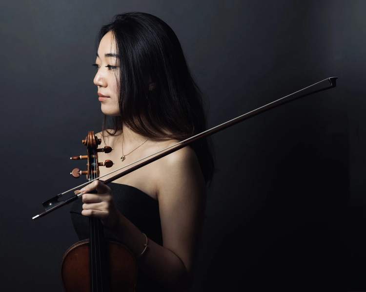 Um Violino para Brahms