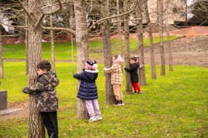 Serralves convida famílias a observar e descobrir as árvores do Parque