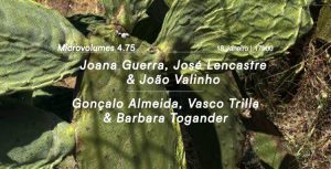 MV 4.75 traz Joana Guerra, José Lencastre e João Valinho ao Porto