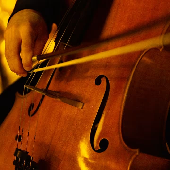 Candlelight: O melhor de Hans Zimmer ilumina o Palácio da Bolsa