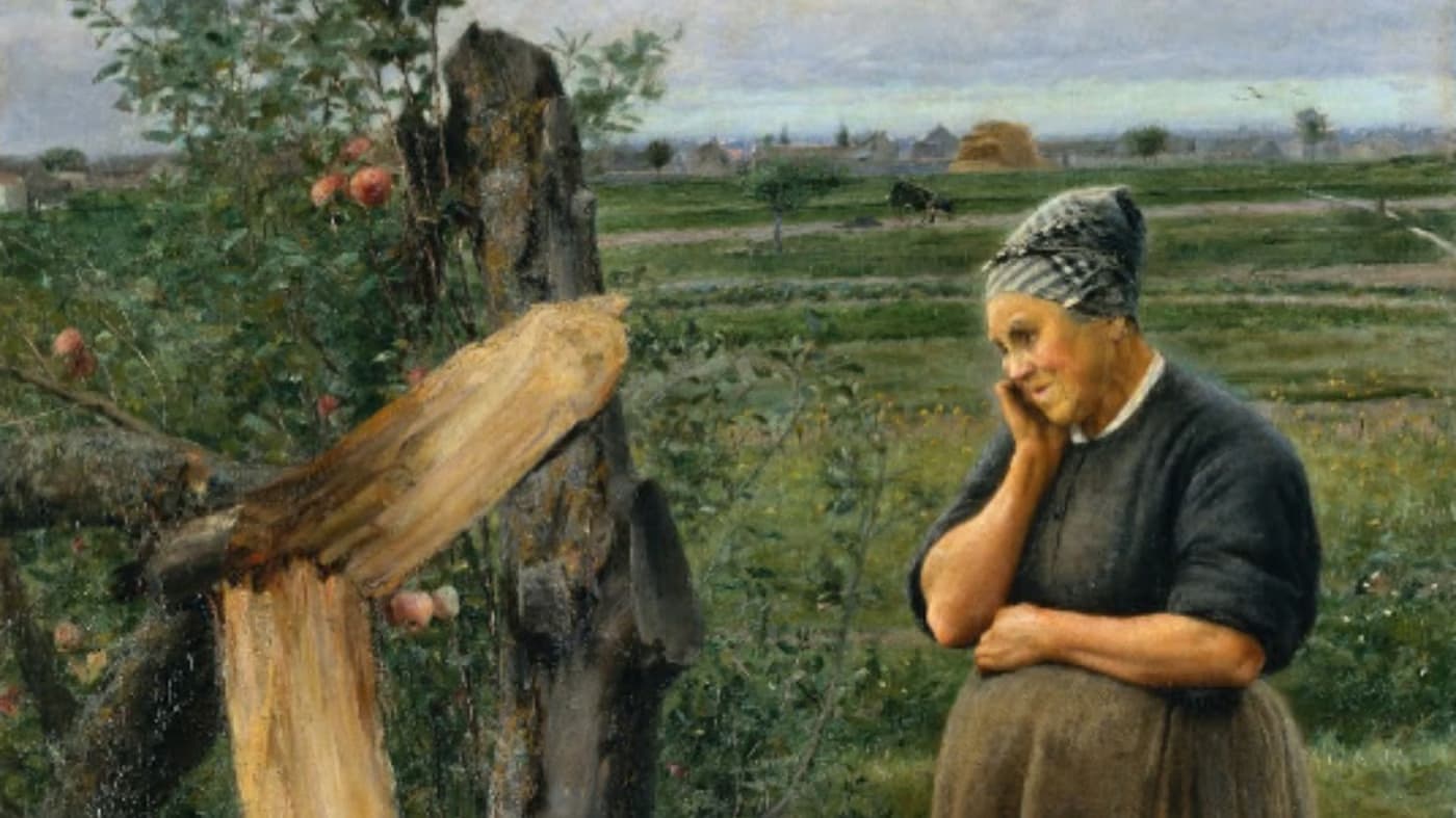 As espécies botânicas na coleção de pintura naturalista do MNSR