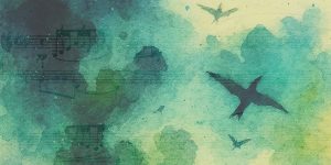 Catálogo da Natureza – Um concerto que une piano, eletrónica e vídeo em tempo real