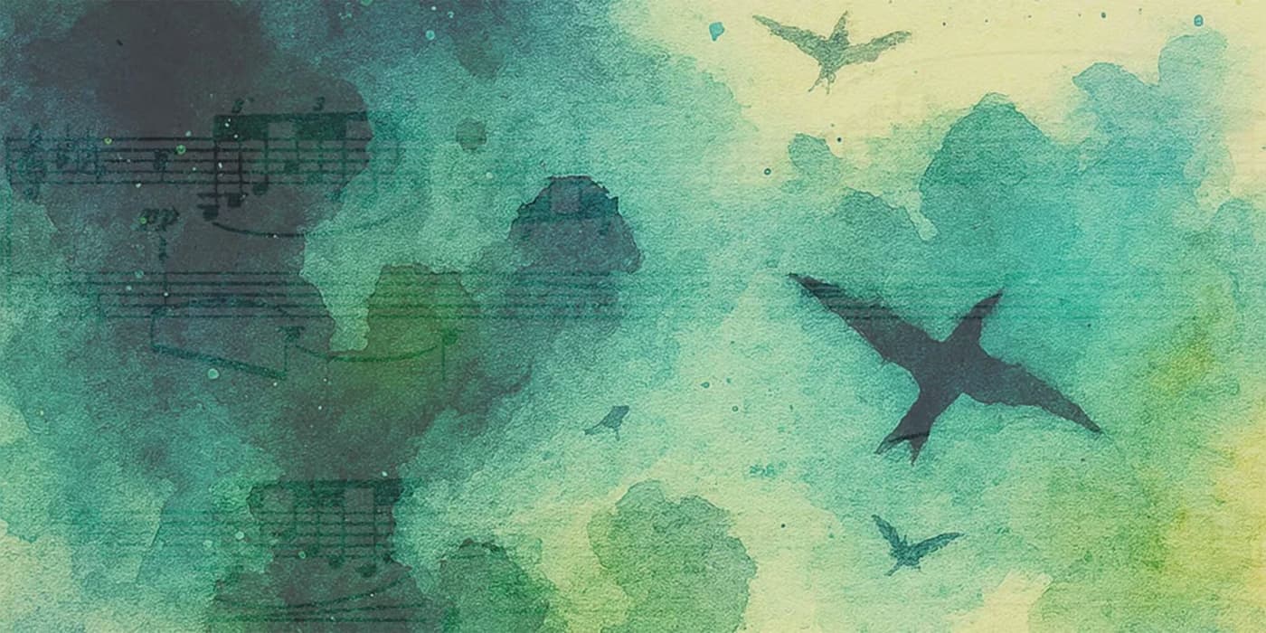 Catálogo da Natureza – Um concerto que une piano, eletrónica e vídeo em tempo real