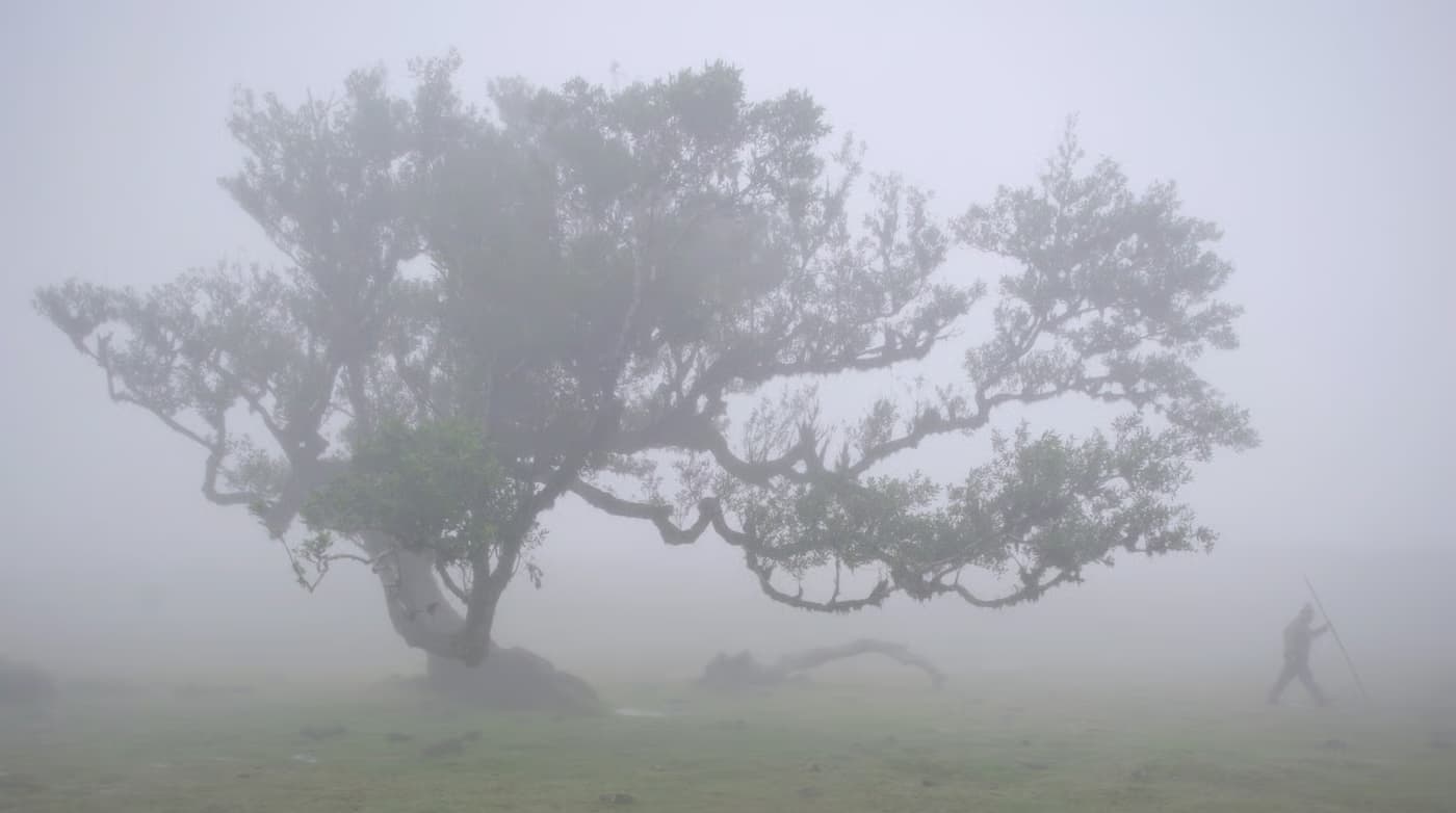Dois Tons de Cinza, de Alexandre Delmar