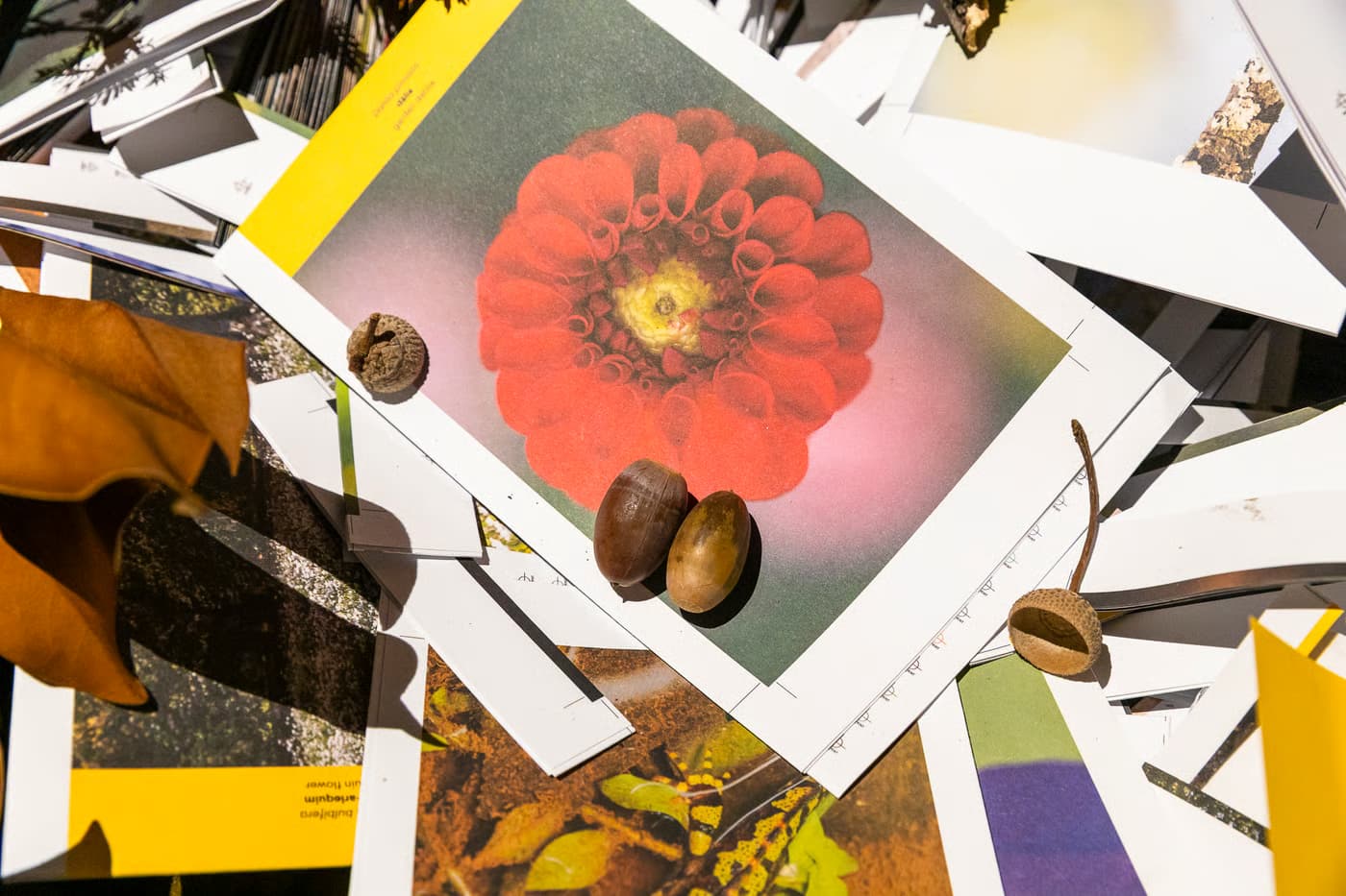 Fotografia de Natureza - Oficina com Jorge Sarmento