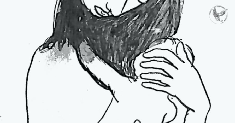 AFECTIVIDADE: Fundamento do Vínculo Humano – Formação em Biodanza