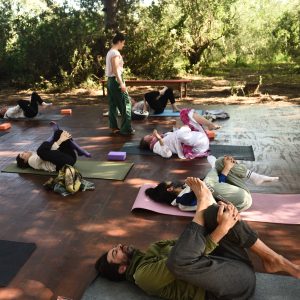 Guided somatic workshops and community day!