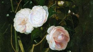 Oficina “Entre Flores do Campo” no Museu Nacional Soares dos Reis: Criatividade em Família