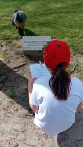 Sophia de Mello Breyner Andresen, poesia e natureza