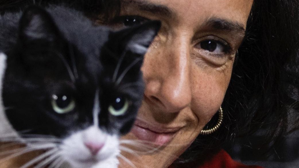 A Garota Não: Um Concerto Acústico