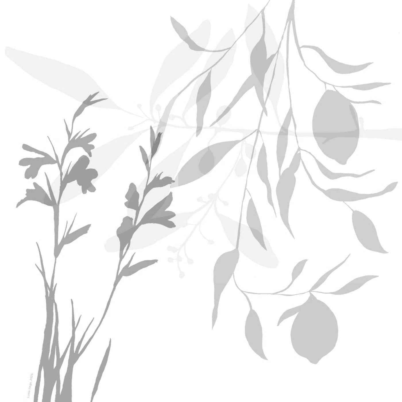 Oficinas de Ilustração Científica #3 com Luísa Jorge no Museu do Porto