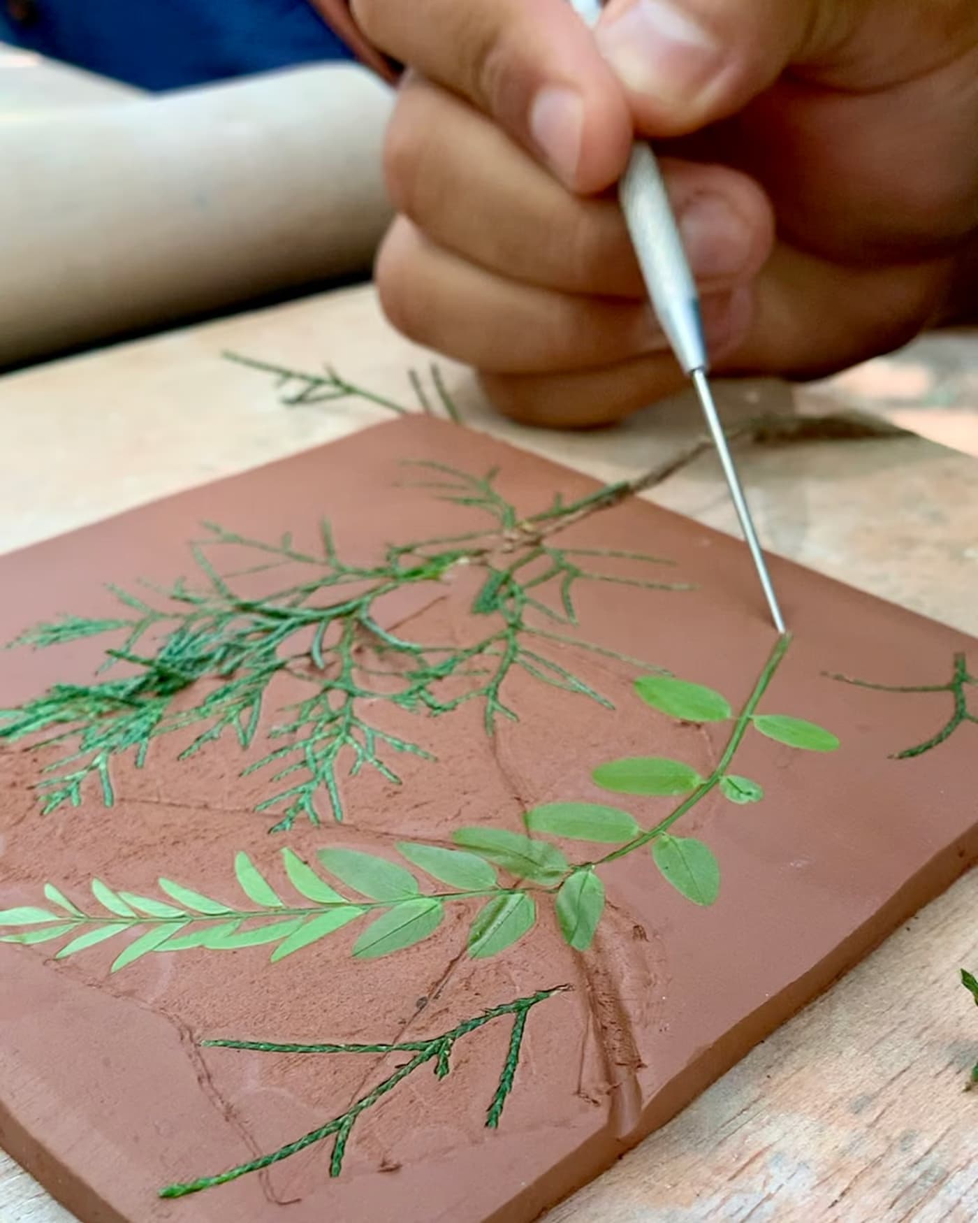 Entre Plantas e Barro – Oficina de Impressão Botânica em Cerâmica