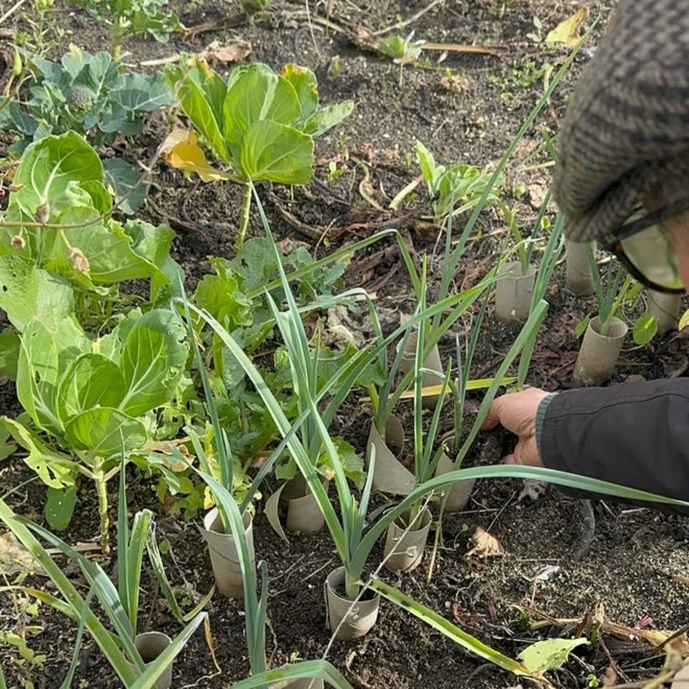 O poder das hortas, de Henrique Mestre e Ângela Rosa