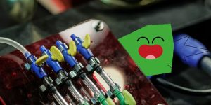 A Magia do Som: uma aventura musical para todas as idades