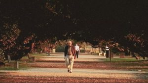 Manuel António Pina: Dois Filmes no TNSJ