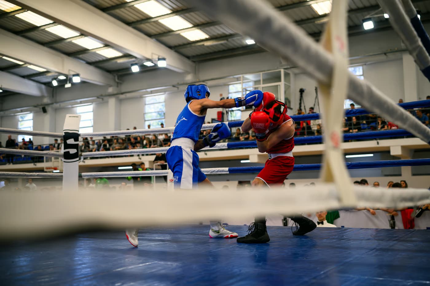 Porto Box Cup: torneio internacional de boxe