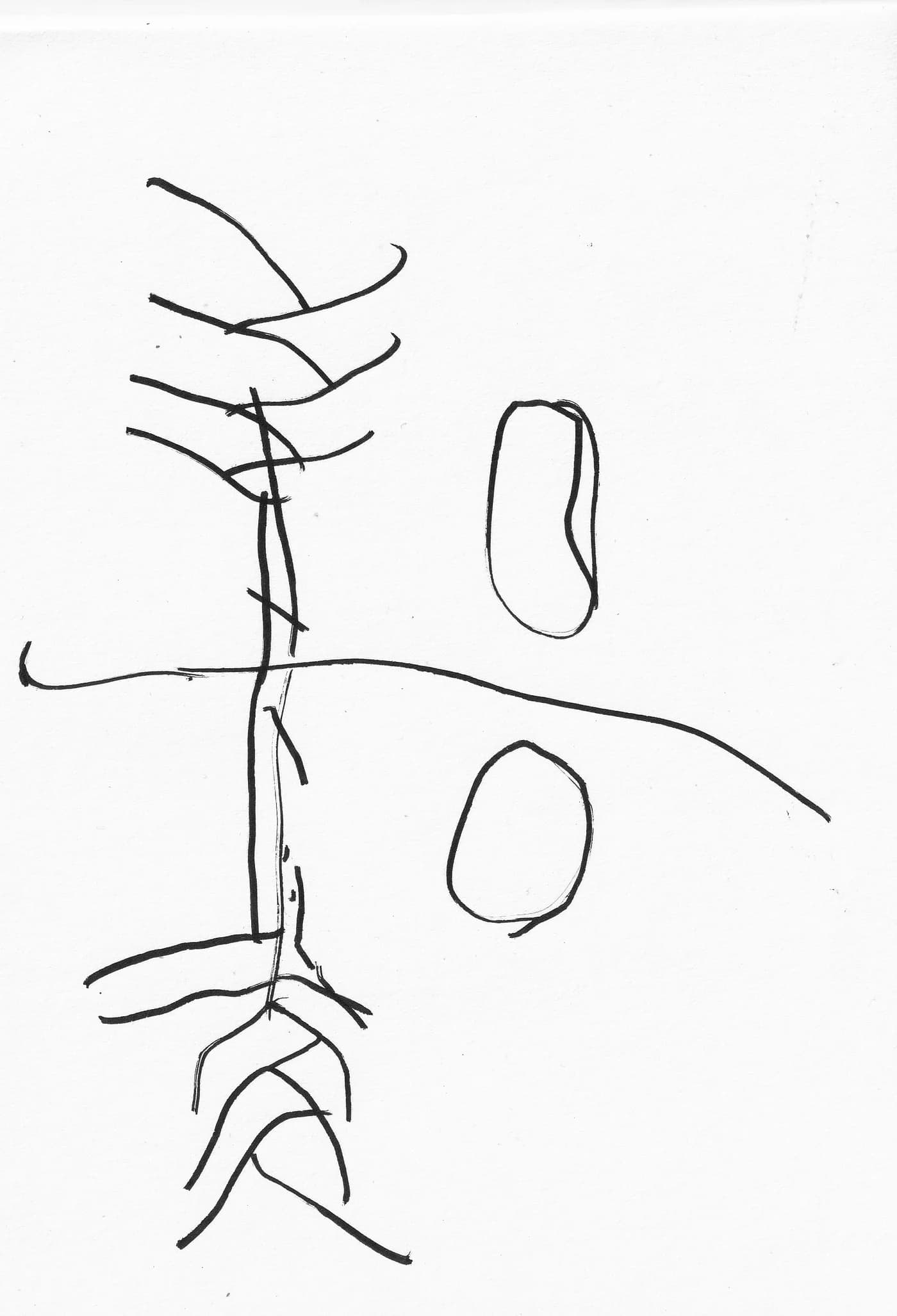 A Mão Esquerda das Trevas – Exposição de Isabel Carvalho