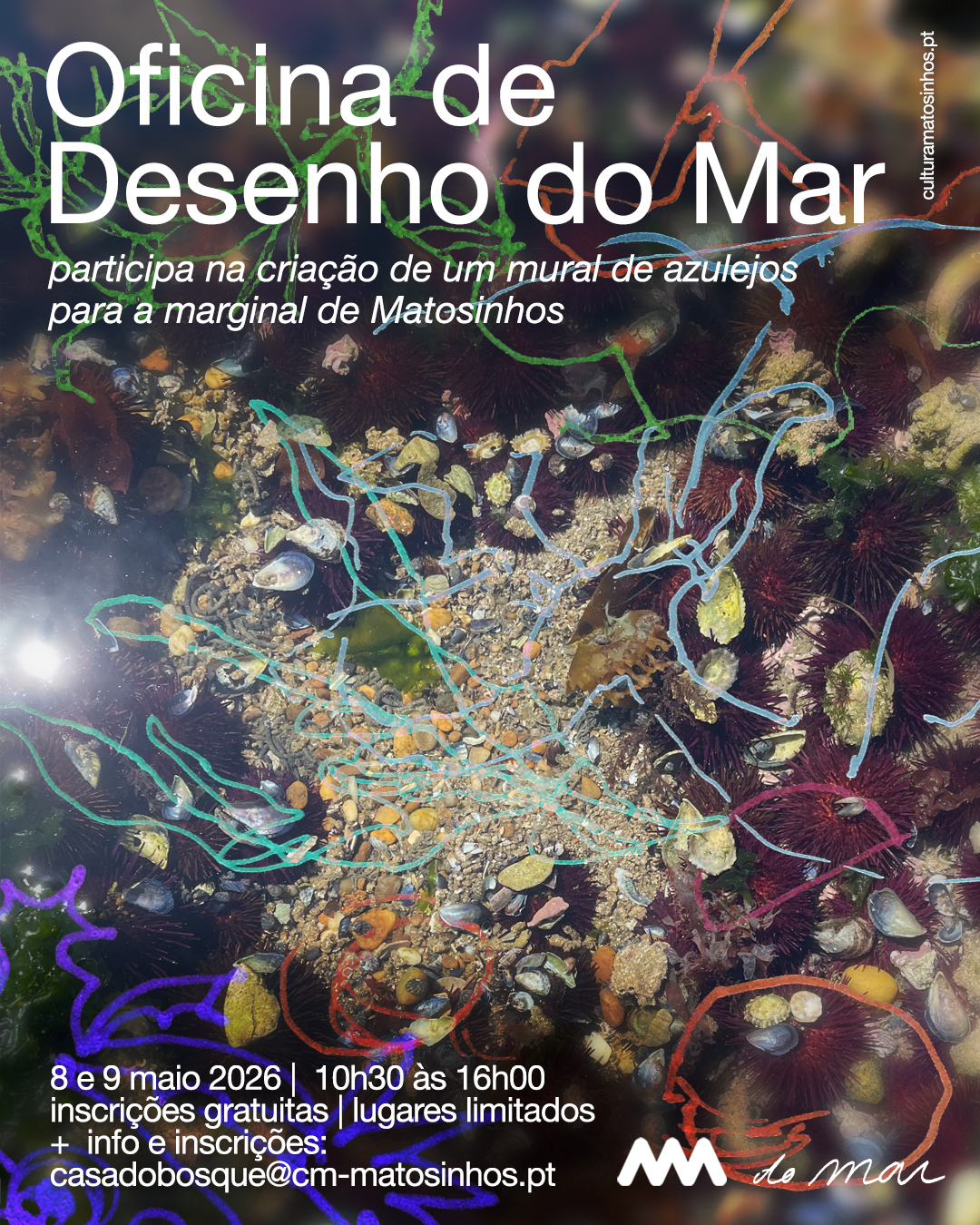 Oficina de Desenho do Mar