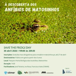 Save the Frogs Day em Matosinhos convida famílias a descobrir a vida secreta dos anfíbios