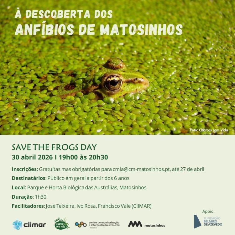 Save the Frogs Day em Matosinhos: saída de campo convida famílias a descobrir anfíbios no Parque das Austrálias