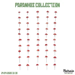 PARANHOS COLLECTION – NOITE DE POP E ITALO DISCO NO CATRAIO, PORTO