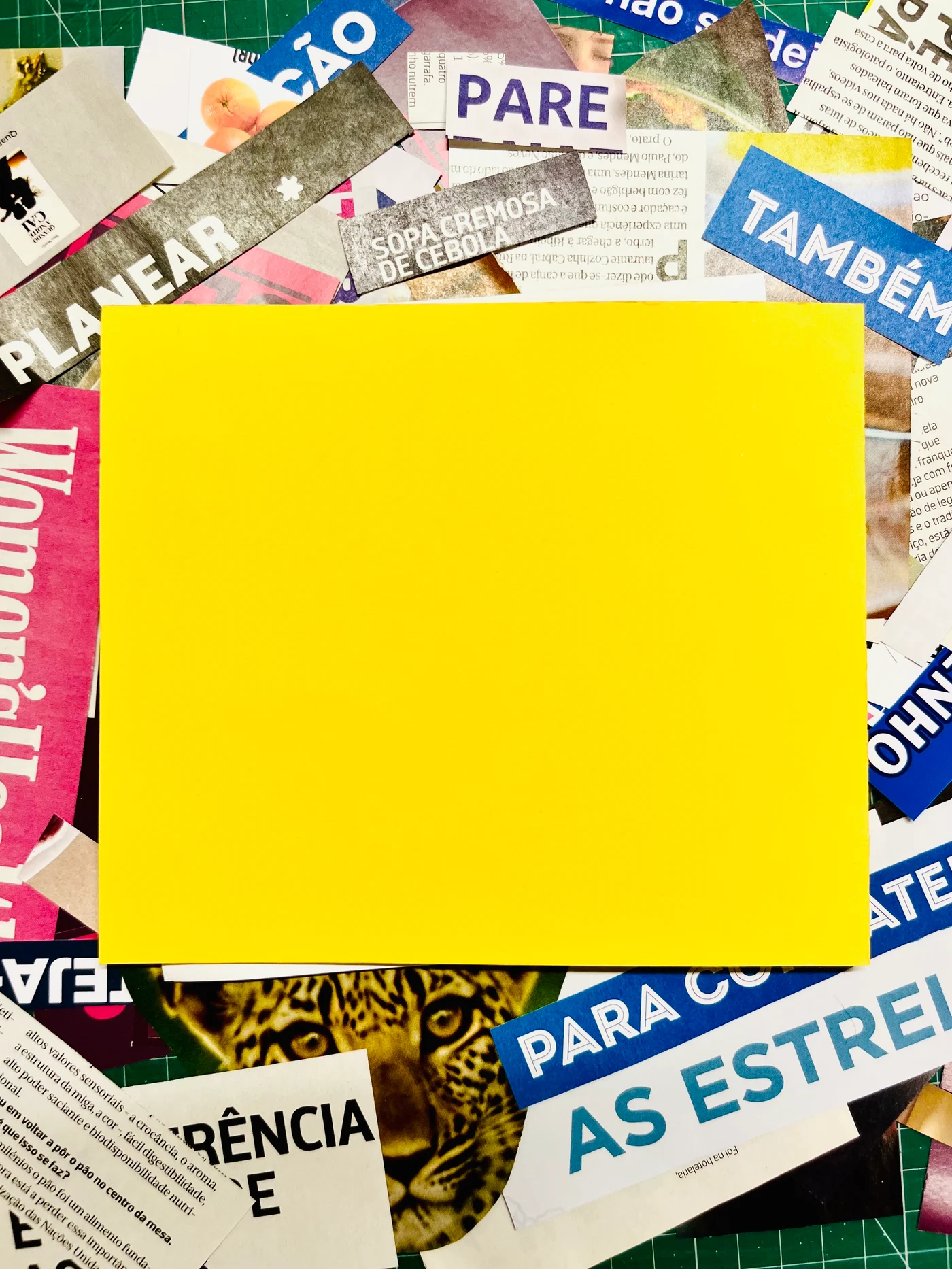 “Biblioteca das Capas Livres” convida à criação artística no Dia Mundial do Livro