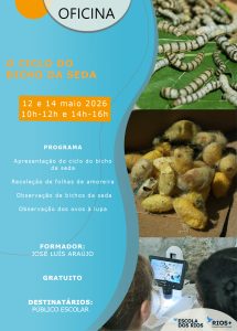 CICLO DO BICHO DA SEDA | inscrições abertas