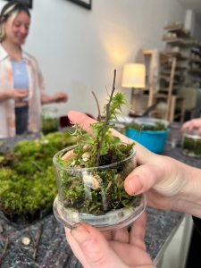 Cria Uma Pequena Floresta Num Frasco