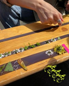 Fitogramas — Oficina Com Juliana Julieta